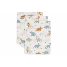 Washcloth Muslin - Roarsome - 3 Pack – Multicolor / One Size