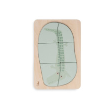 Wooden Puzzle - Jungle Jambo – Sea Green / One Size